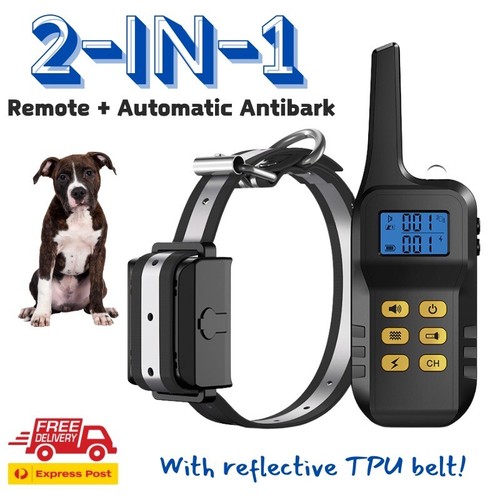 Two remote dog - two-in-1, training