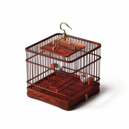 Bird cage with - bird,
