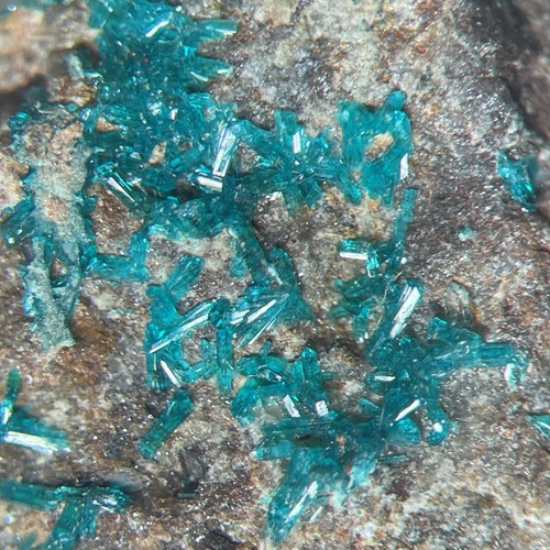 Dioptase crystal druzy - dioptase,