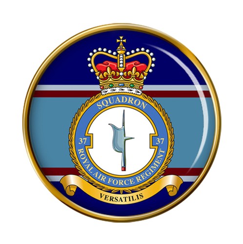 Raf regiment squadron pin - 37,