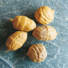 Enterprise Tackle Imitation