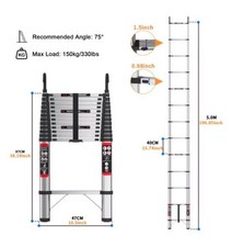 2.6-5M Stainless Steel Ladder