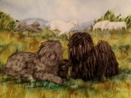 Barnhart studios komondor puli - barnhart,