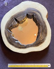 Natural Rustic Mirror Tree