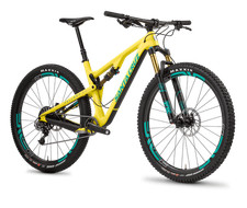 Frame Pivot Bearing Kit |