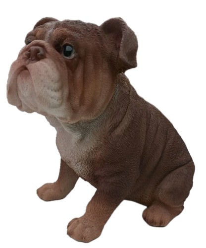 Vivid arts tricolour bulldog - vivid,