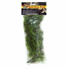 Zoo Med Cashuarina Artificial Reptile Vivarium & Terrarium Plant Small /Medium