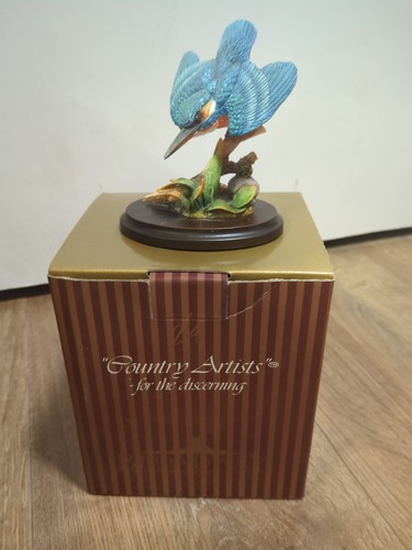 Kingfisher flight country - in,