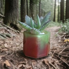 Homemade Artificial Cactus In