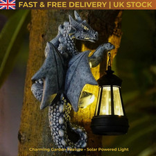 Dragon Tree Hugger Solar LED