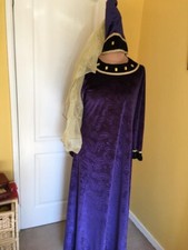 Medieval Tudor Royal Princess Queen Fancy Dress Medium 12