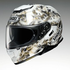 Shoei Gt Air 2 Panorama Full