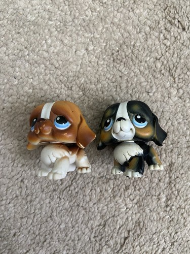 Lps littlest pet shop - lps, st