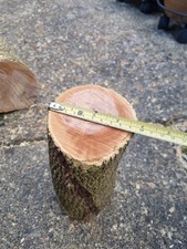 Green Unseasoned Box Wood Log