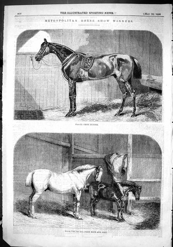 Old 1866 metropolitan - 1866, horse