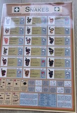 Rare Australian Venomous Snake Laminated Wall Chart