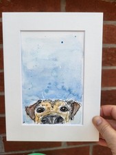 Jack Russell brown dog