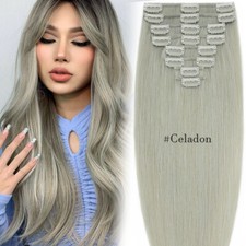 Clip In Hair Extensions 100%