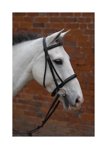 Padded cavesson bridle with - padded,