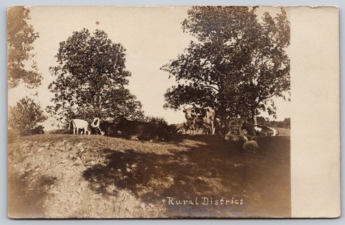 Vintage rppc postcard rural - vintage,