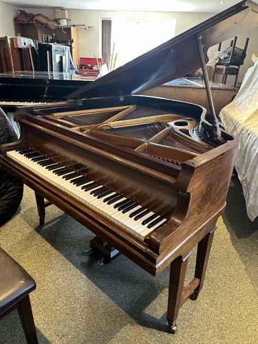 Lestel baby grand polished - baby, grand,