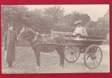 Horse Pony & Carriage Molly Gordon Social History RP pc used AK741