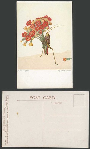 Von maydell old postcard - von,