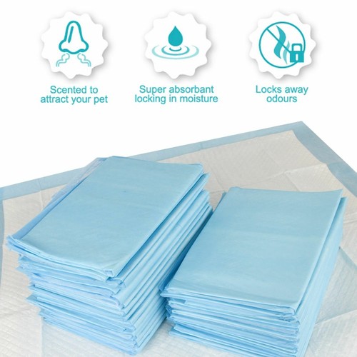Large training puppy pads - large,