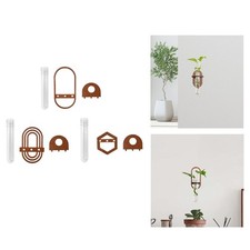 Hydroponic Vase Wall Hanging