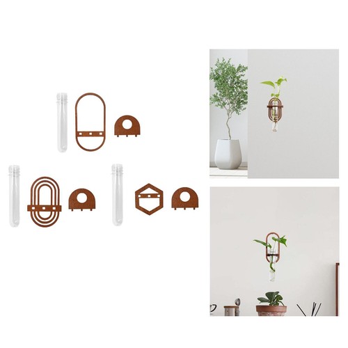 Hydroponic vase wall hanging - vase,
