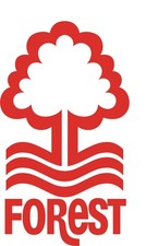 IRON ON / HEAT PRESS / Breast Logo / Nottingham Forest / Football Badge