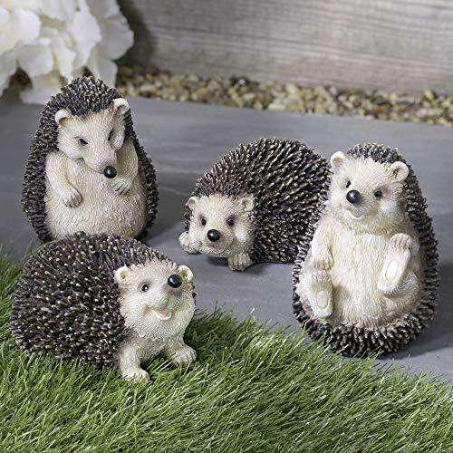 Set hedgehog garden - of,