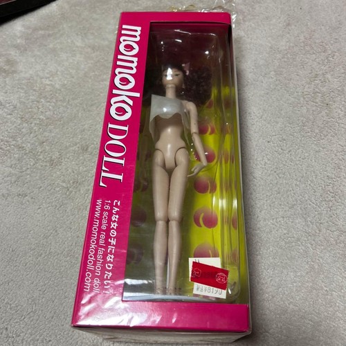 Momoko doll scale - 1/6,