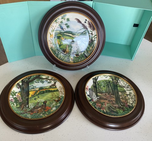 Wedgwood colin newman - wedgwood,