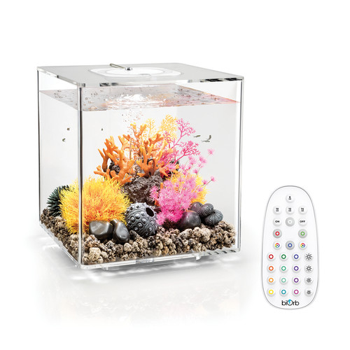 Biorb cube 30l aquarium - cube,