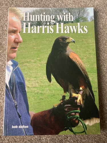 Hunting with harris hawks - hunting, by