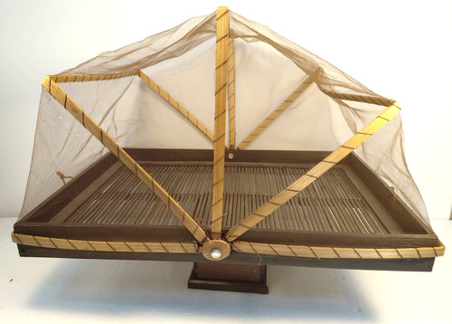 Covered food serving - serving, tray
