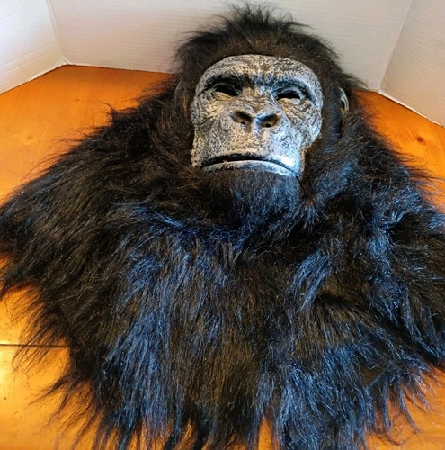 Black gorilla monkey - gorilla,