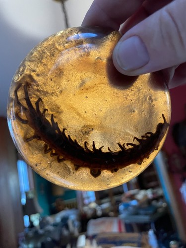 Home tiny centipede resin - tiny,