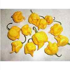 CAROLINA REAPER YELLOW, 25
