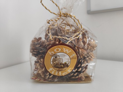Jumbo gold pine cones - jumbo,