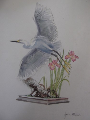 Original egret waterclour - original,
