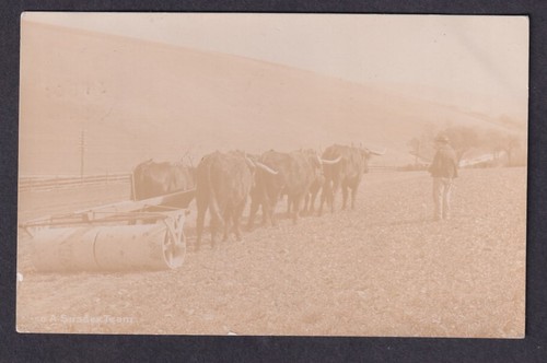 Sussex rural farming team - sussex,