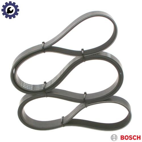 Vribbed belt 987 946 - 1, for