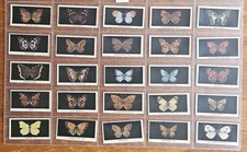 British Butterflies 1927