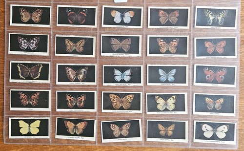 British butterflies 1927 - butterflies,