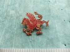 Badge Girl Guides Womens Institute Somerset Senior Leader association member