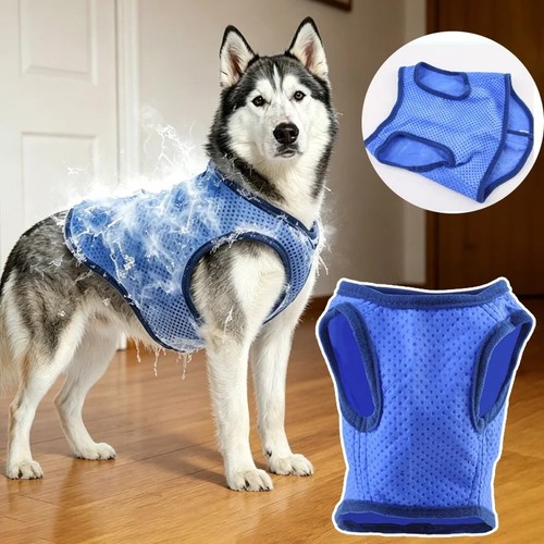 Summer dog cooling vest - summer,