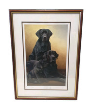 Nigel Hemming - Generations