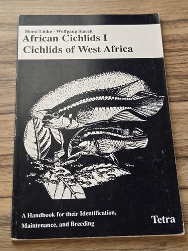 African cichlids - cichlids,